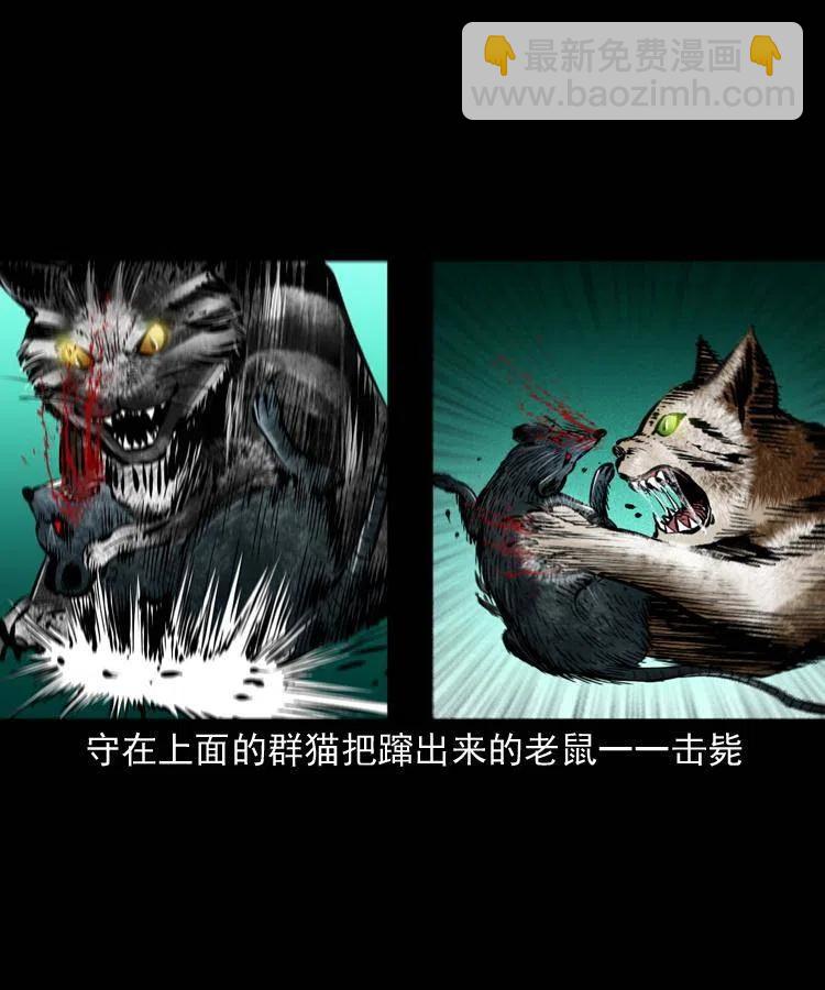 一百三十五话 百猫伏鼠(1/2)-第137话