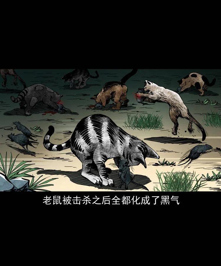 一百三十五话 百猫伏鼠(1/2)-第137话