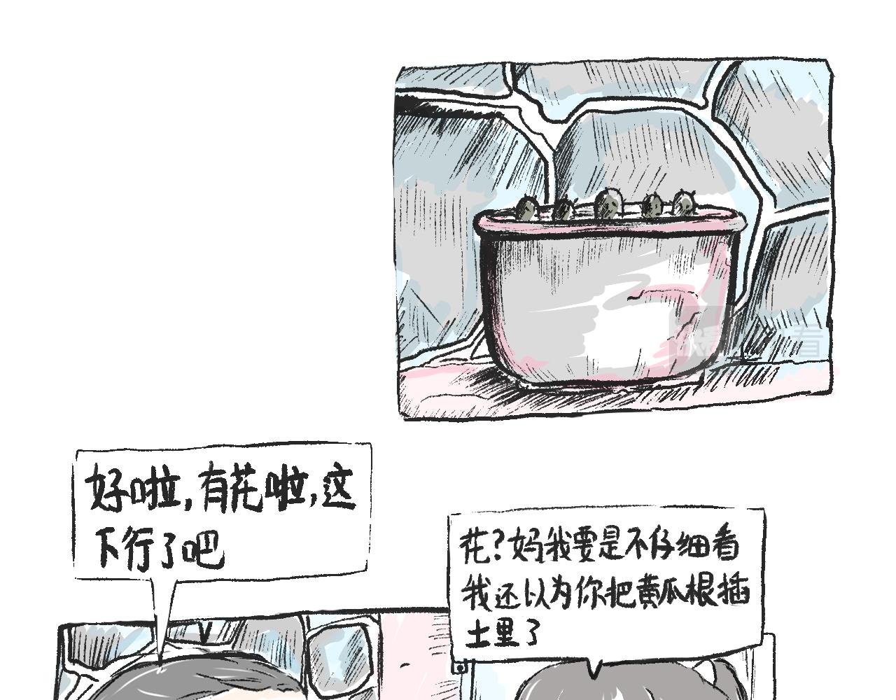 莫橘番外  好看的花(1/2)-第11话