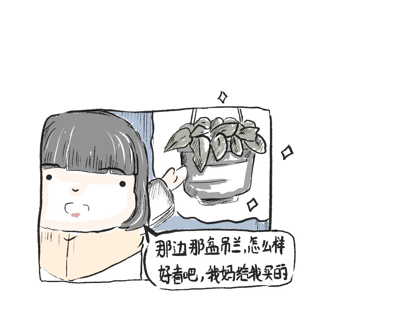 莫橘番外  好看的花(1/2)-第11话