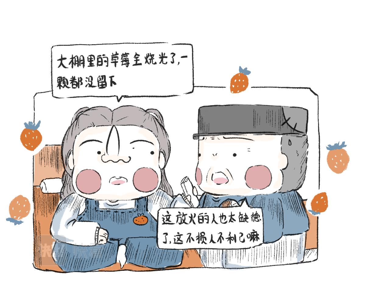 第二十八话  正道的光-第31话
