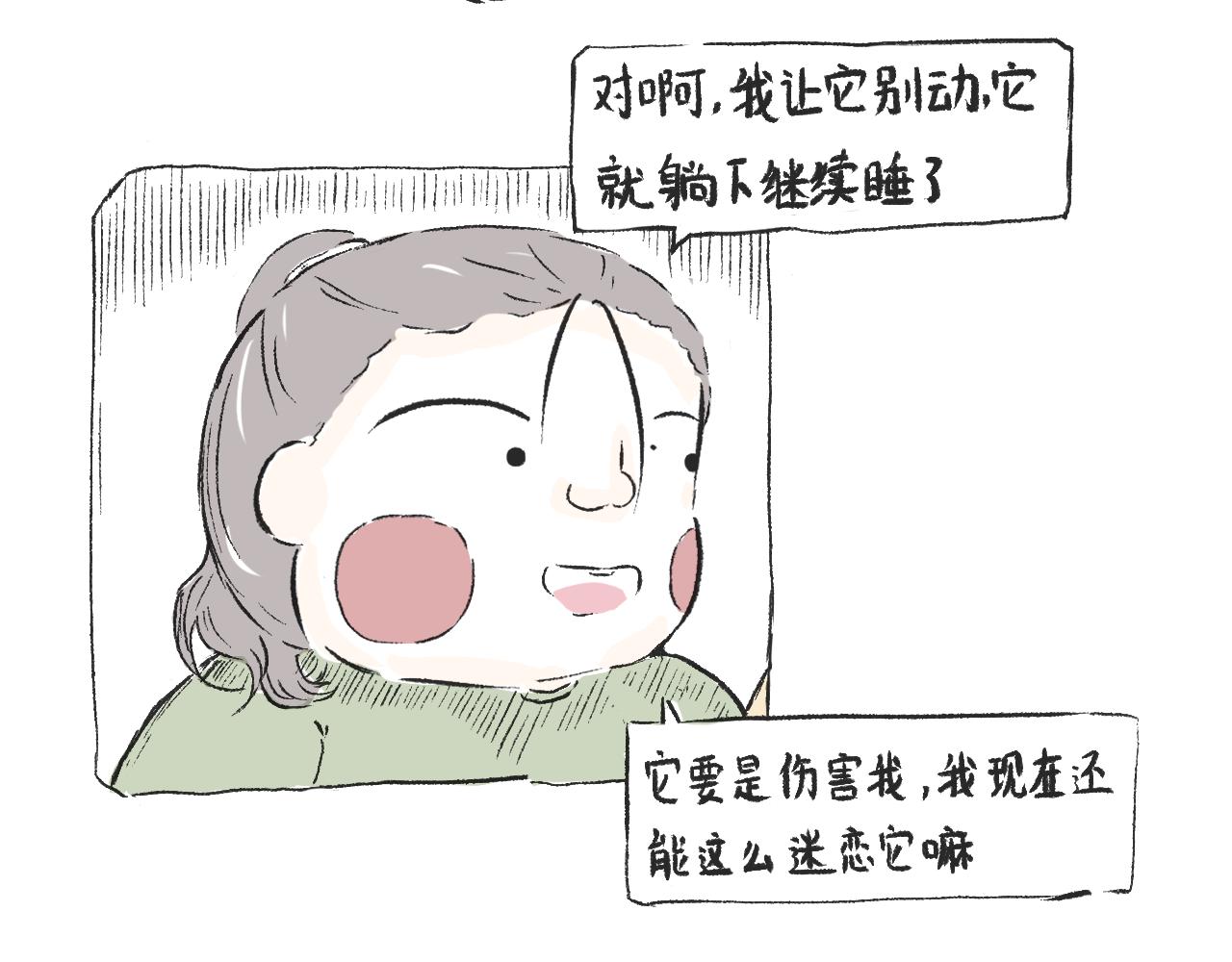 第三十五话  天上掉下个霸波奔-第39话