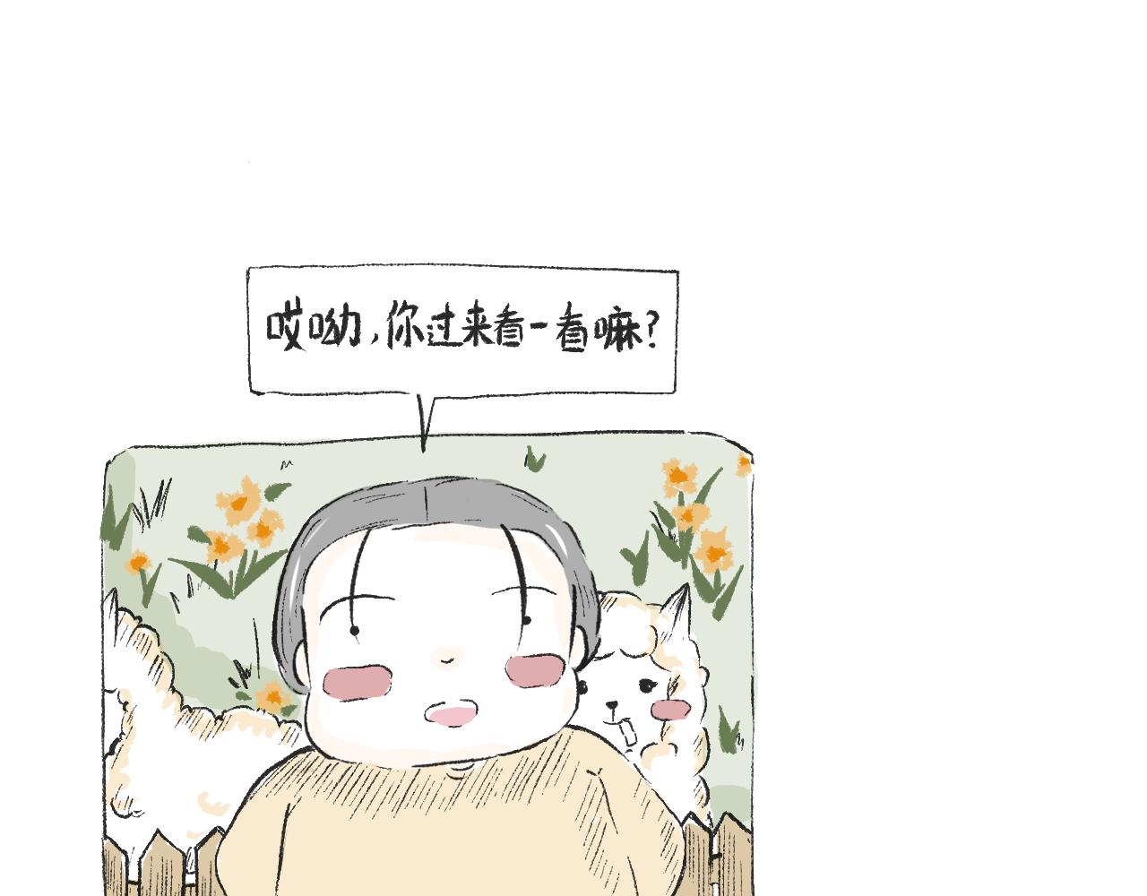 第三十五话  天上掉下个霸波奔-第39话