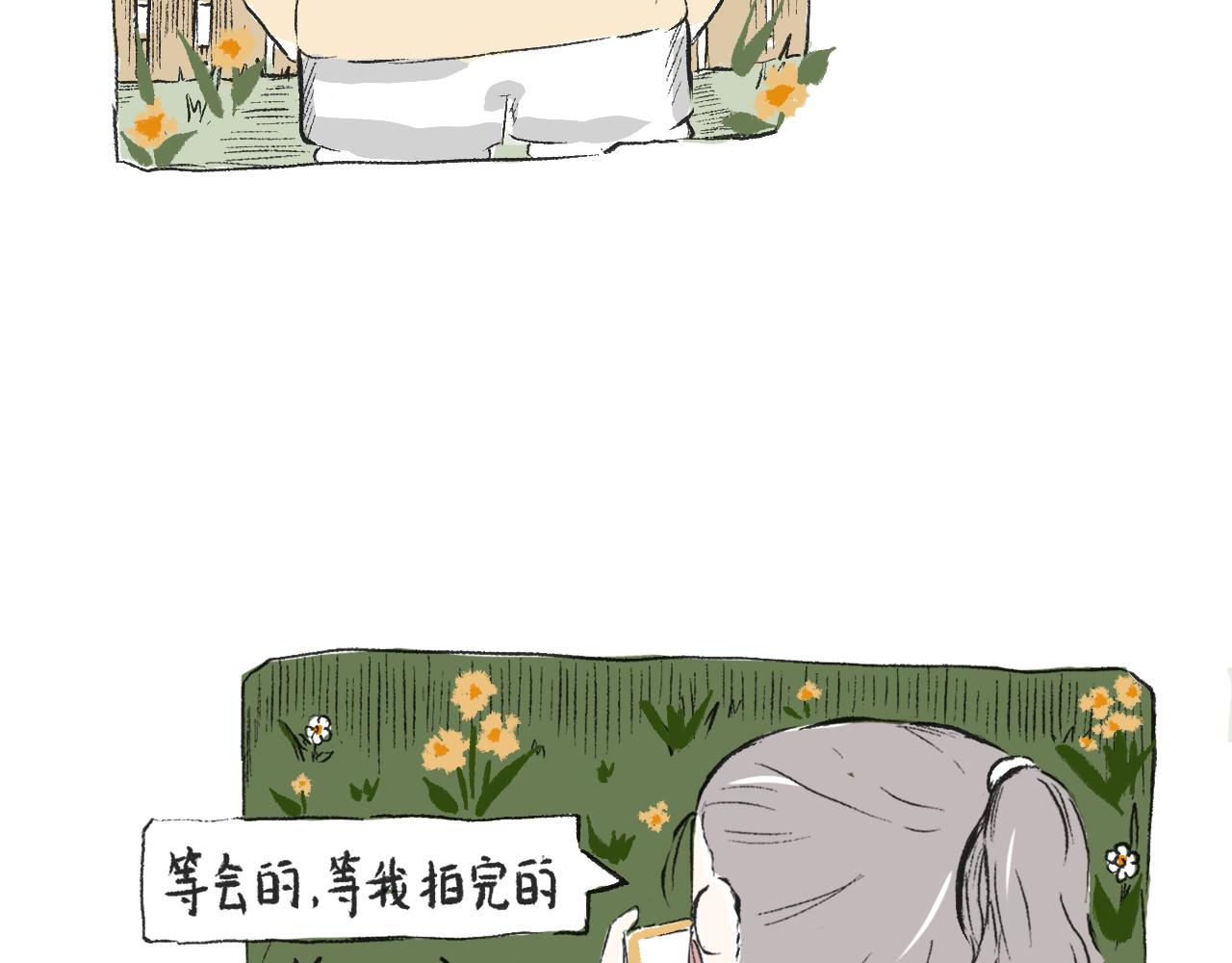 第三十五话  天上掉下个霸波奔-第39话