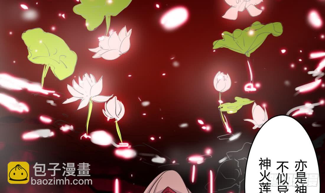 🍟魔法仙气一乾坤 第209话 朱雀离火 第17页