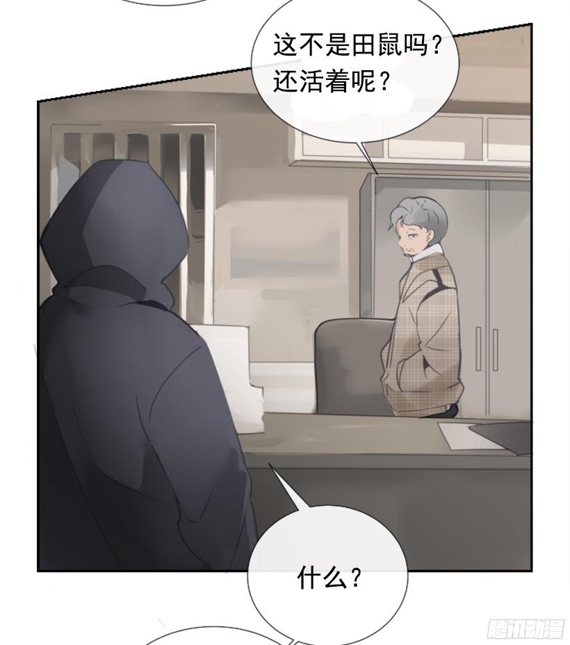 钱包被偷(1/2)-第235话