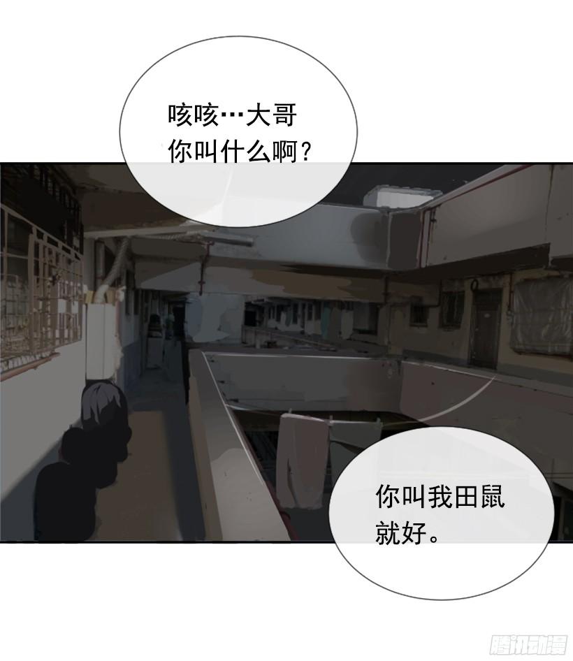 意外救人(1/2)-第237话