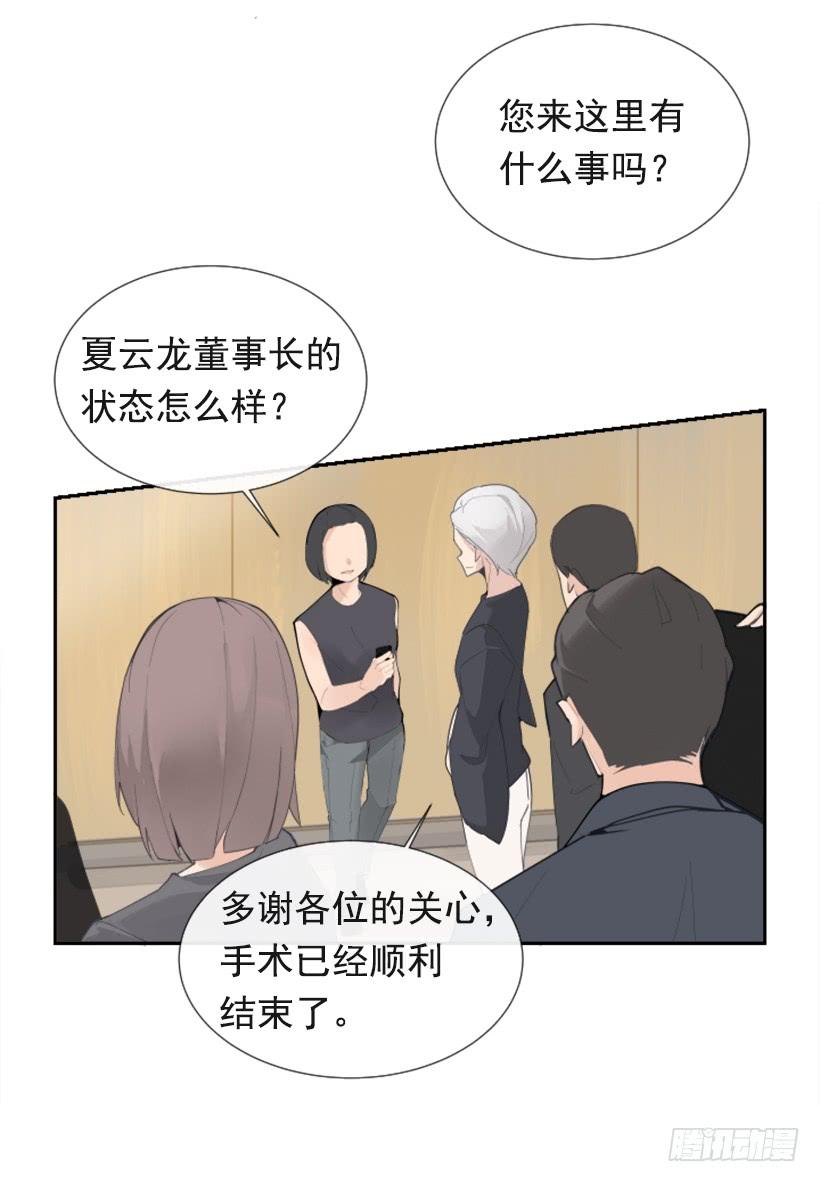 英勇表彰会(1/2)-第251话