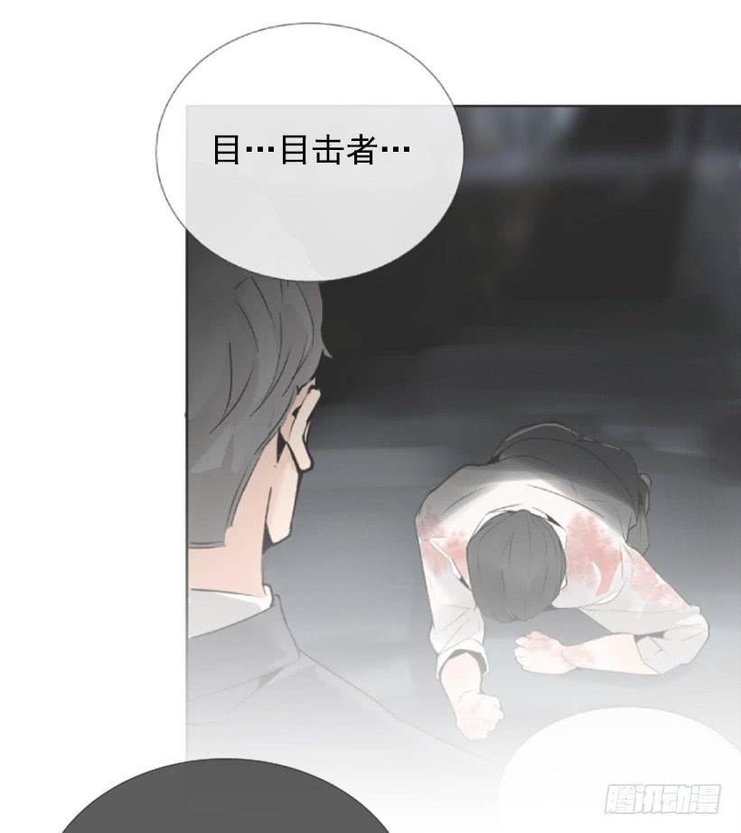 事故现场(1/2)-第253话