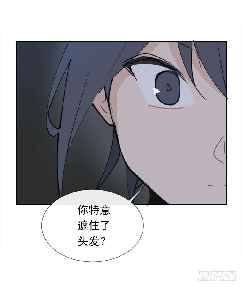 踏上旅途(1/2)-第263话