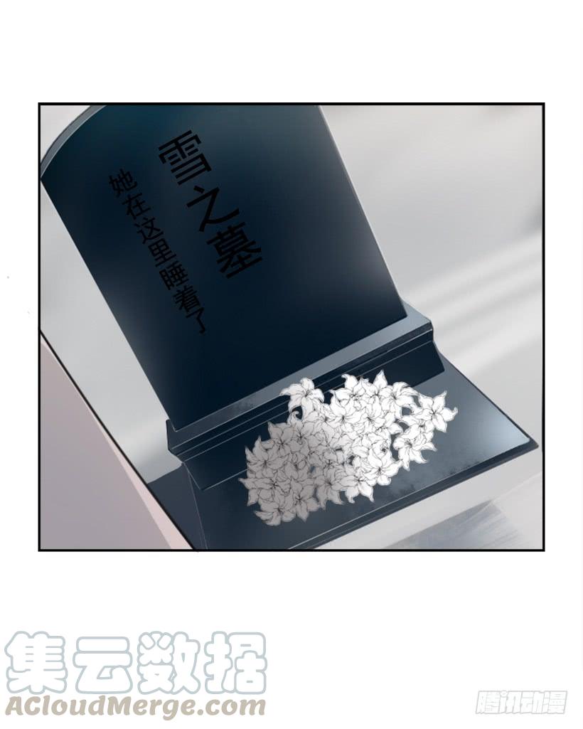 雪之墓(1/2)-第297话
