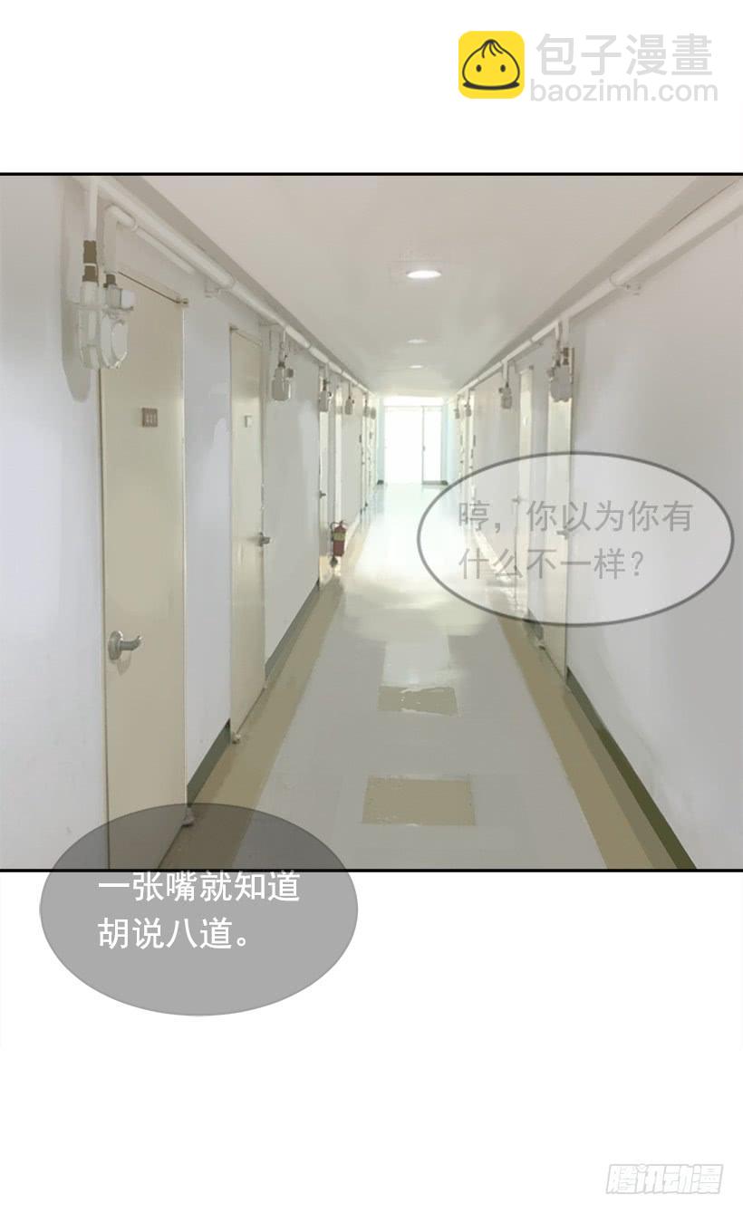 徘徊于世间(1/2)-第331话