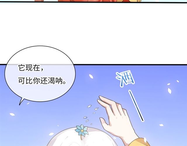 第85话 用心呵护(1/2)-第87话