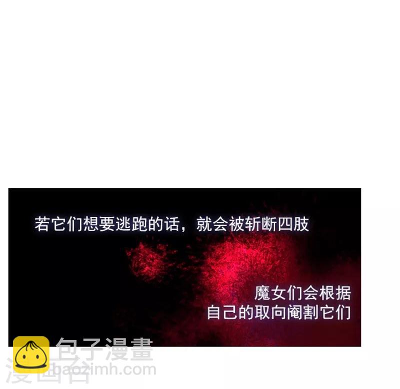 第13话 莉莉眼中的爱情(1/3)-第13话