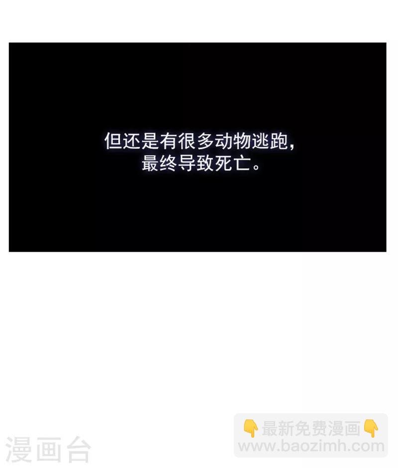 第13话 莉莉眼中的爱情(1/3)-第13话