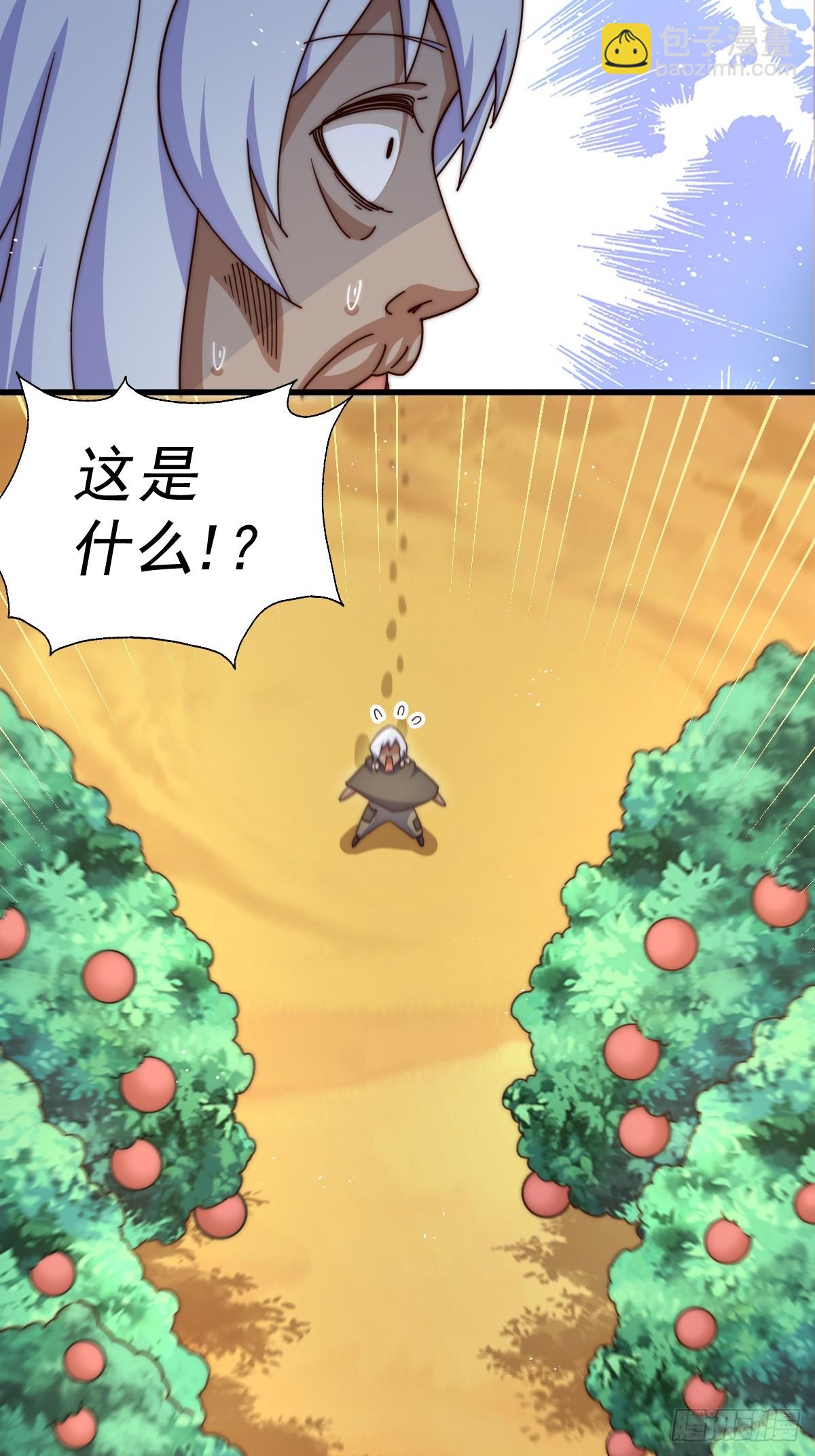 第202话 追随于我(1/3)-第207话