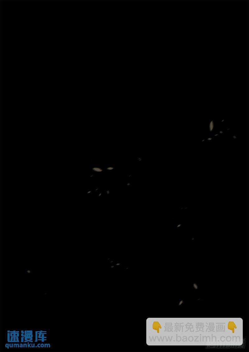 第二百五十四章 没有月光-第255话