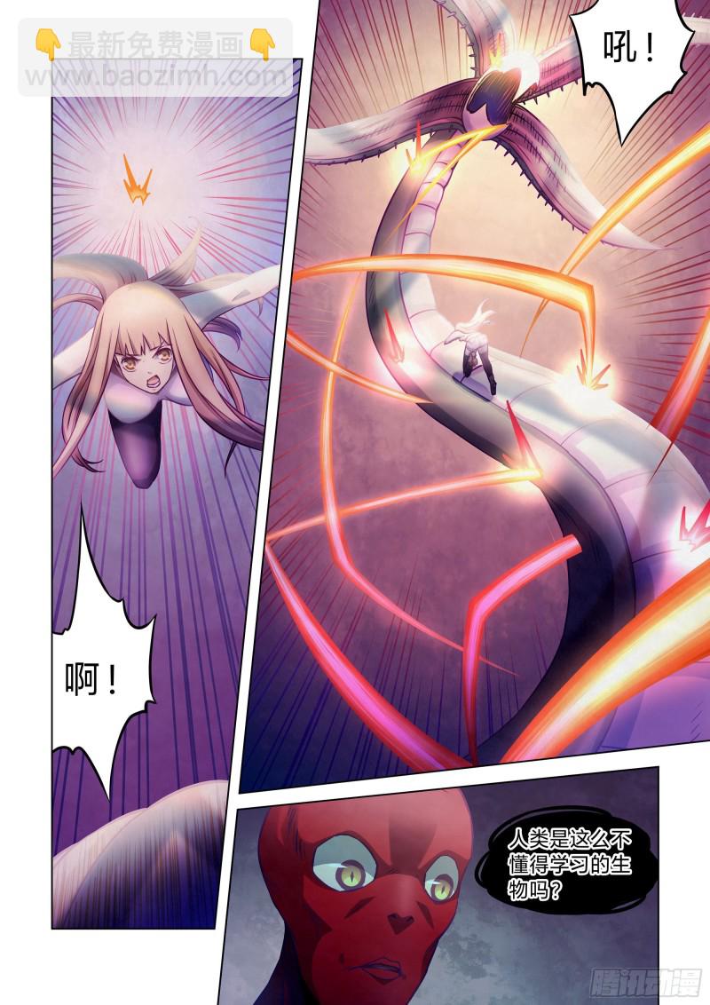 第295话-第295话