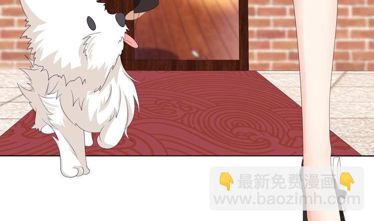 第11话 亿万遗产(1/2)-第11话