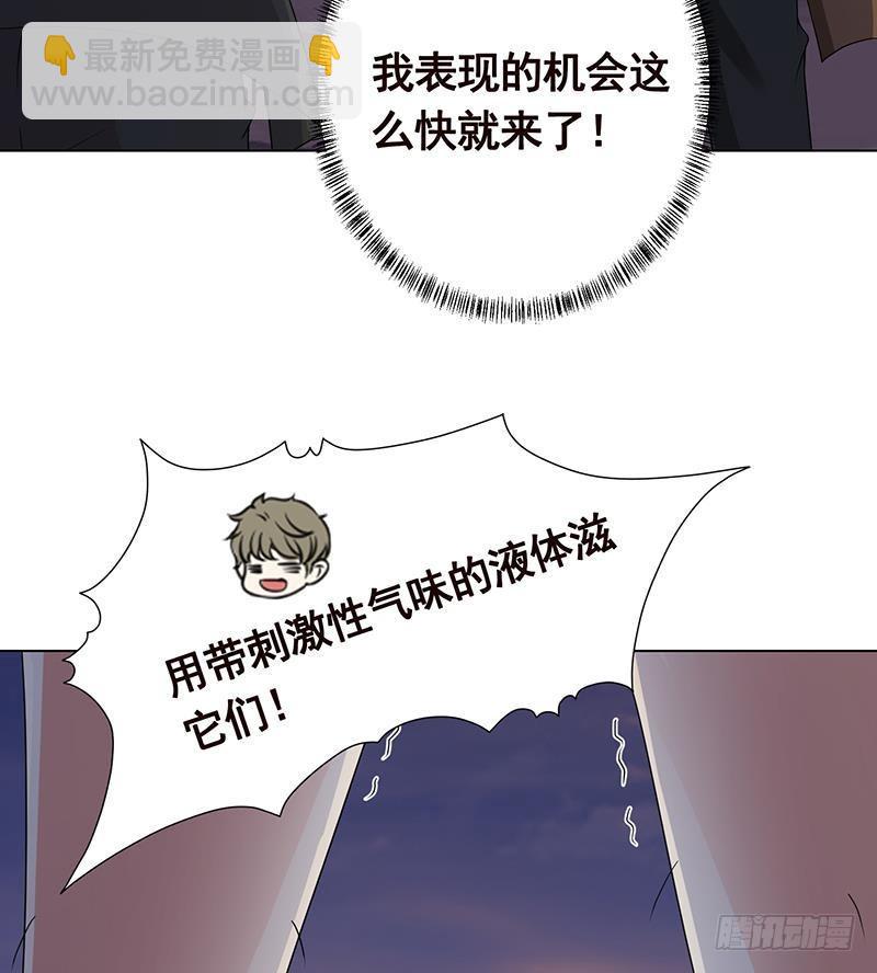第253话 你是猪吗(1/2)-第253话