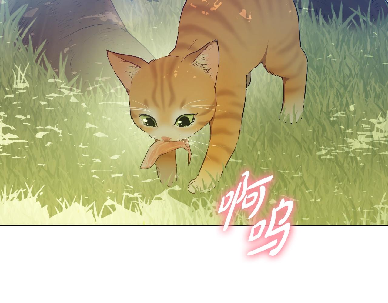 🍟某天成为公主 外传第8话 猫咪博士 第31页