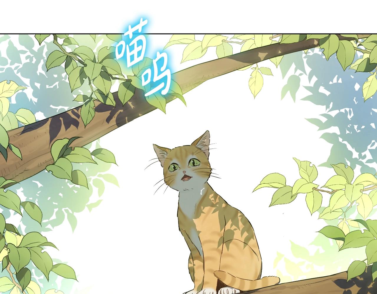 🍟某天成为公主 外传第8话 猫咪博士 第6页