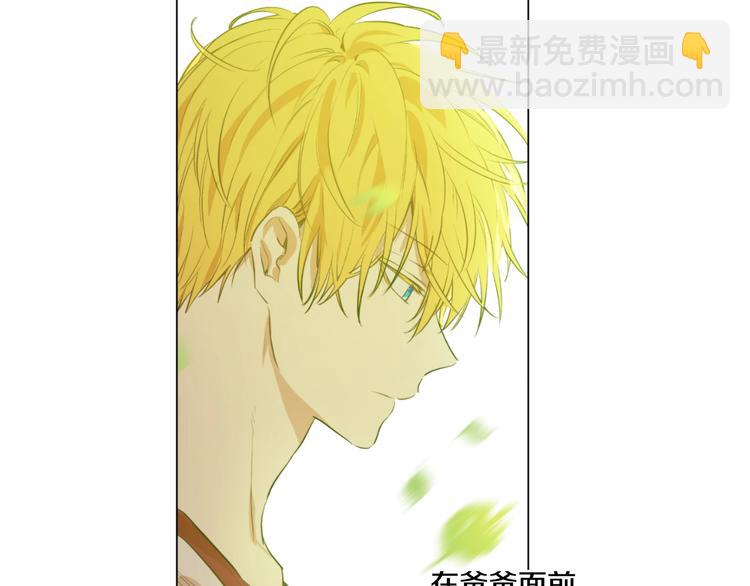 🍟某天成为公主 第44话 萌公主的愿望 第33页
