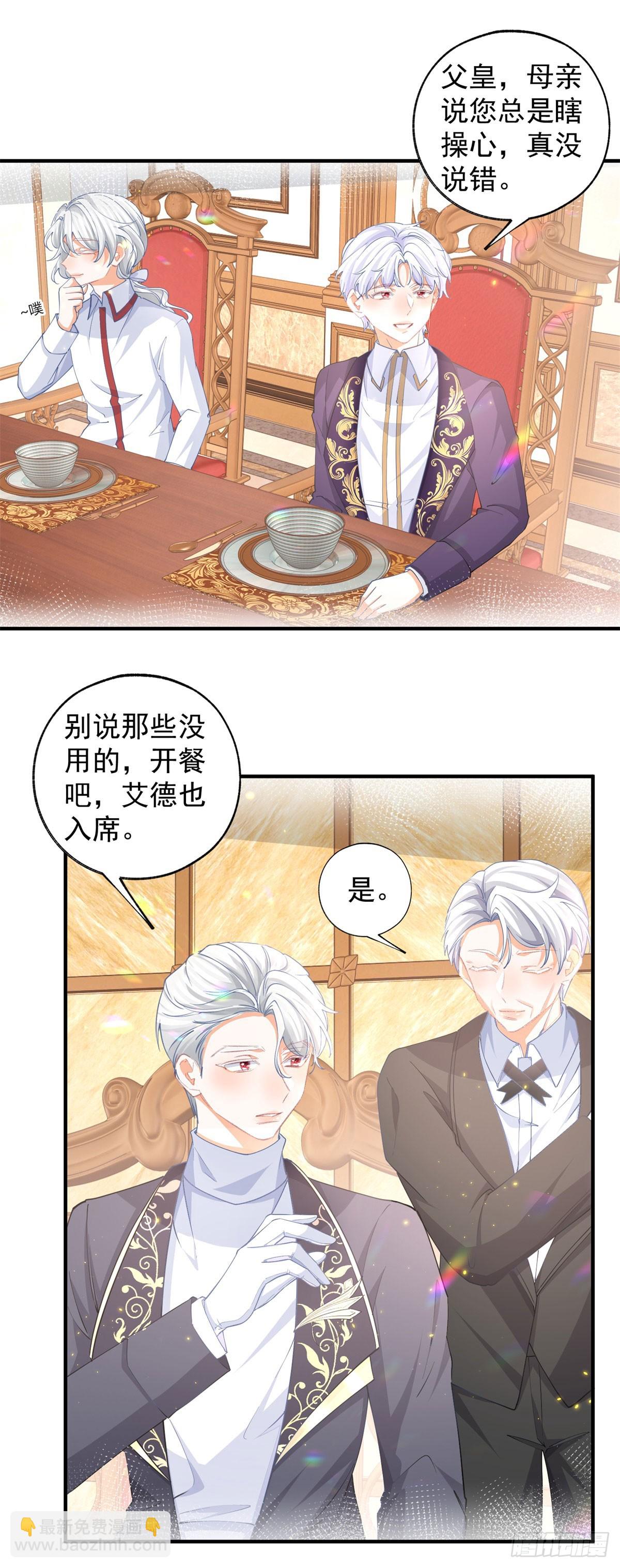 🍟某天成为祭品公主 第240话 被忘记的双生兄弟 第14页