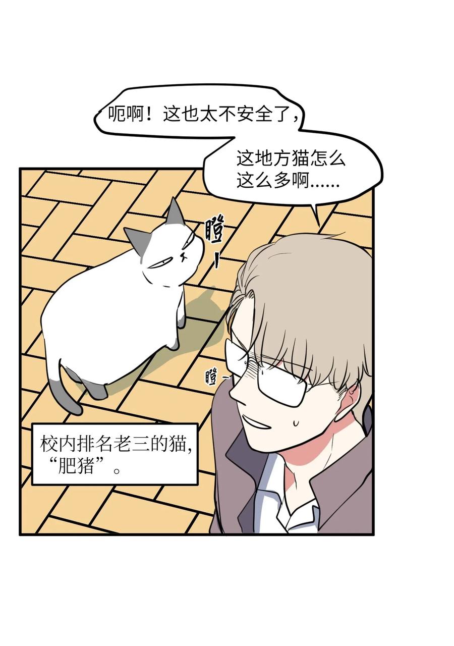65 不明药物(1/2)-第65话