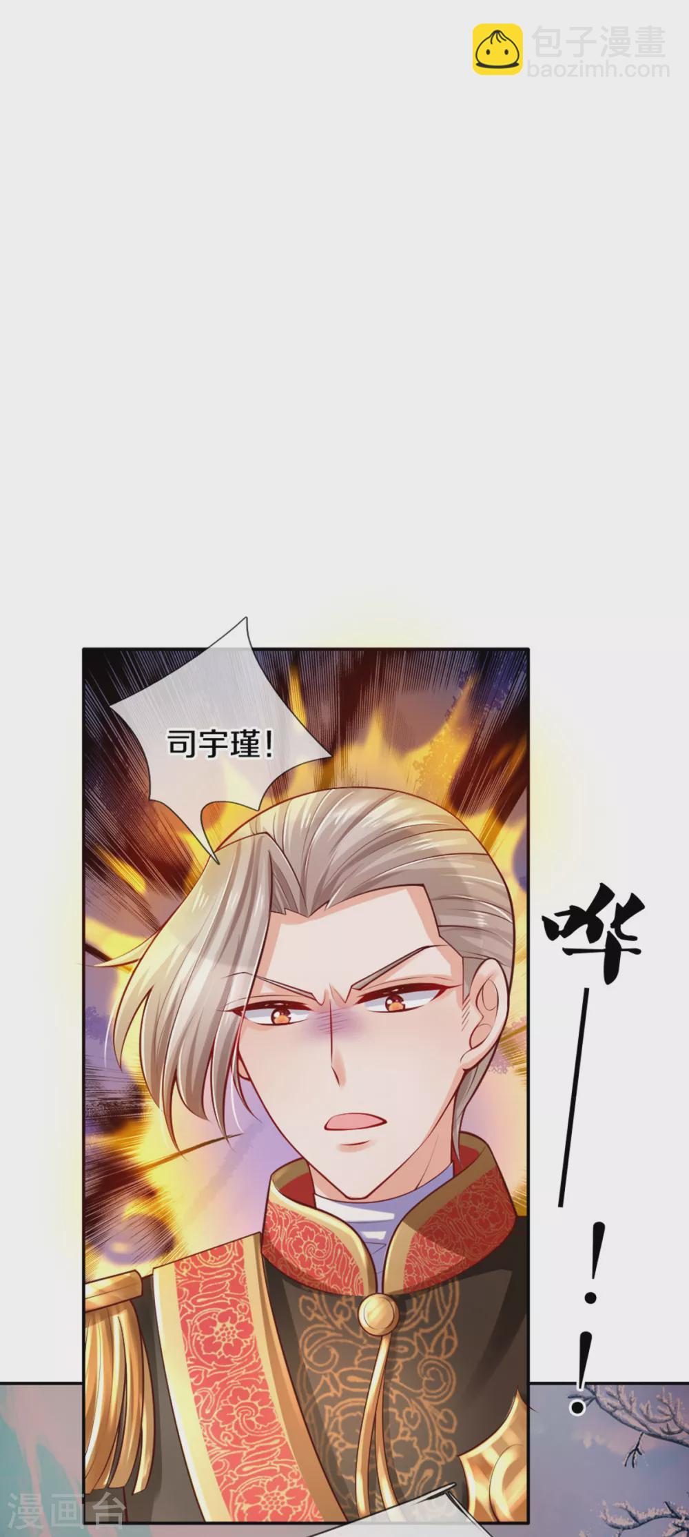 🍟某天成为王的女儿 第275话 司宇瑾，朕要杀你 第12页