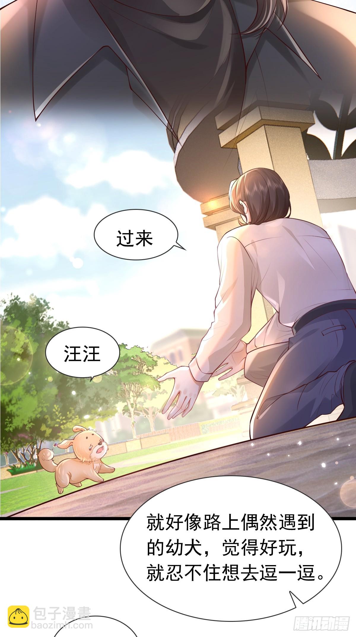 35 限定赏味-第37话