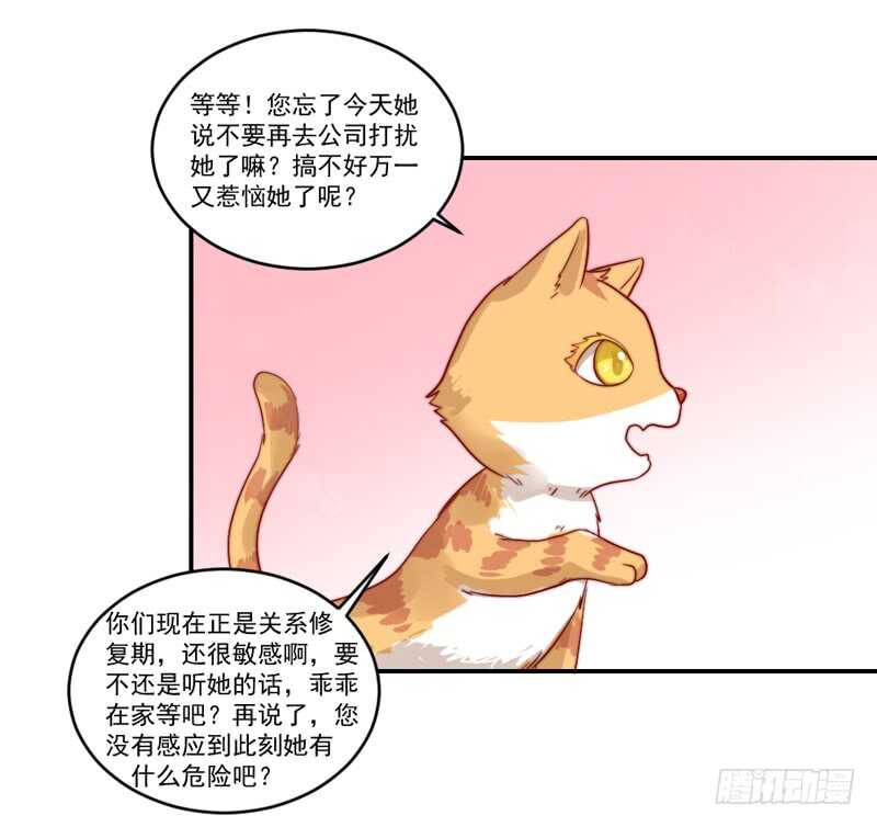 温柔视线！(1/2)-第99话