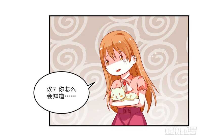 温柔视线！(1/2)-第99话