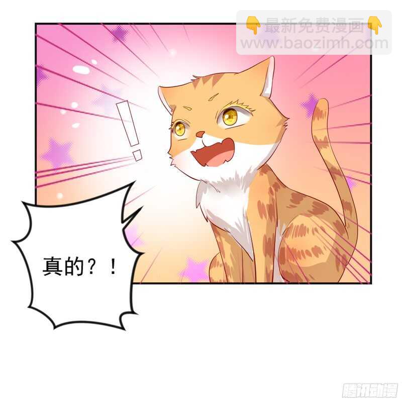 春天来了，又到了拥抱爱情的季节~-第115话
