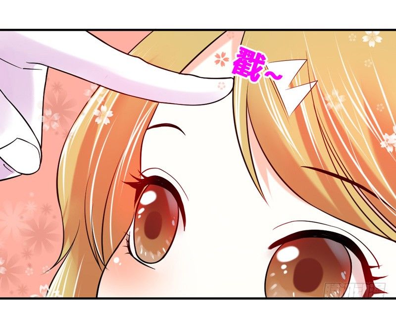 本王，绝不会让你出事！(1/2)-第15话