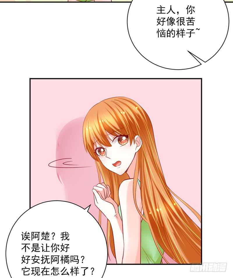 我想去找伊菲尔~-第141话