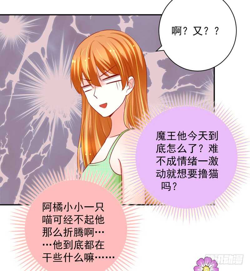 我想去找伊菲尔~-第141话