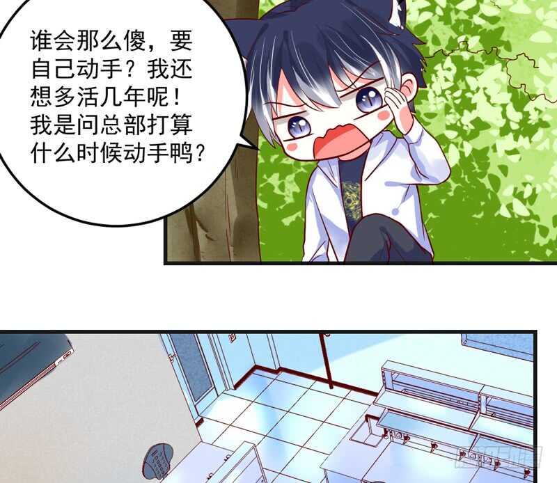 宝贝，本王带你去度蜜月吧~(1/2)-第191话