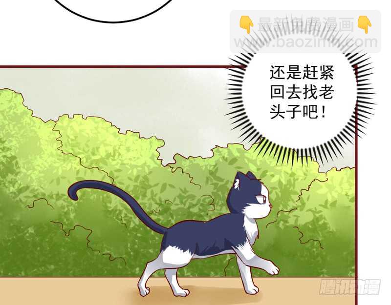 宝贝，本王带你去度蜜月吧~(1/2)-第191话