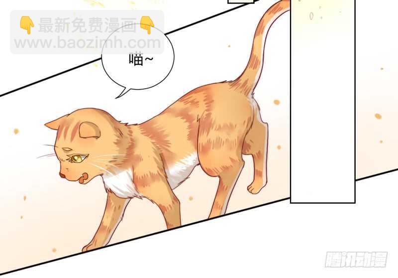 愿我们每个瞬间~都是约定的永远-第211话