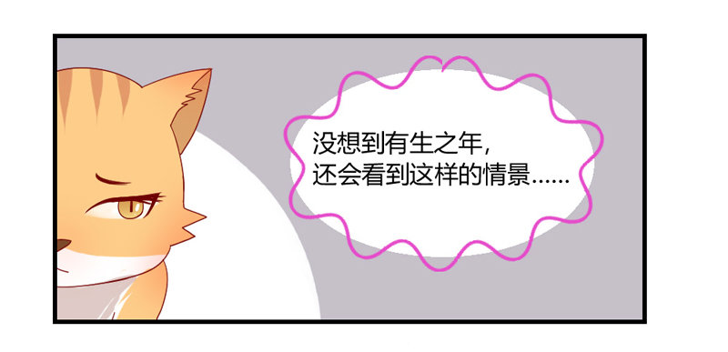 陛下，您还记得微臣吗？-第45话