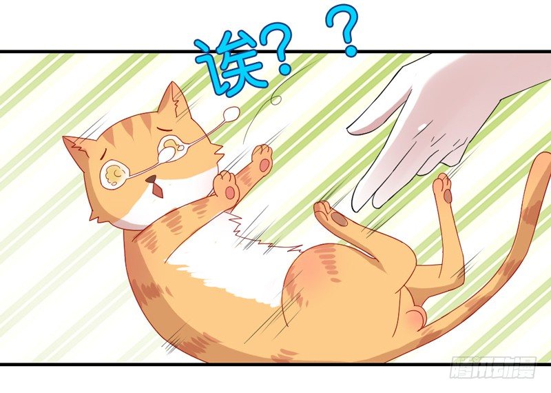 陛下，您还记得微臣吗？-第45话