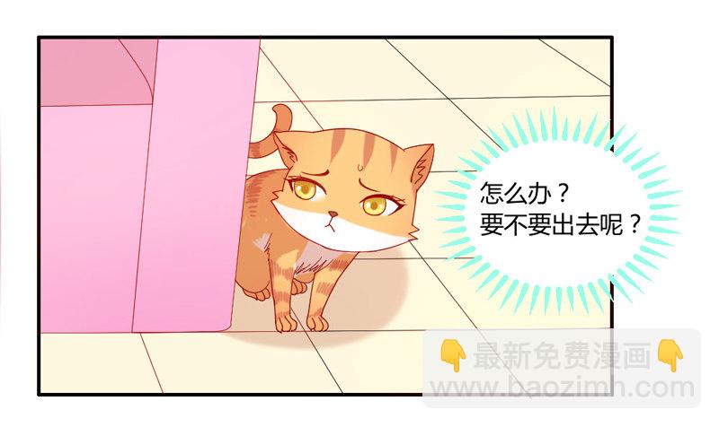 十个橘猫九个胖-第51话