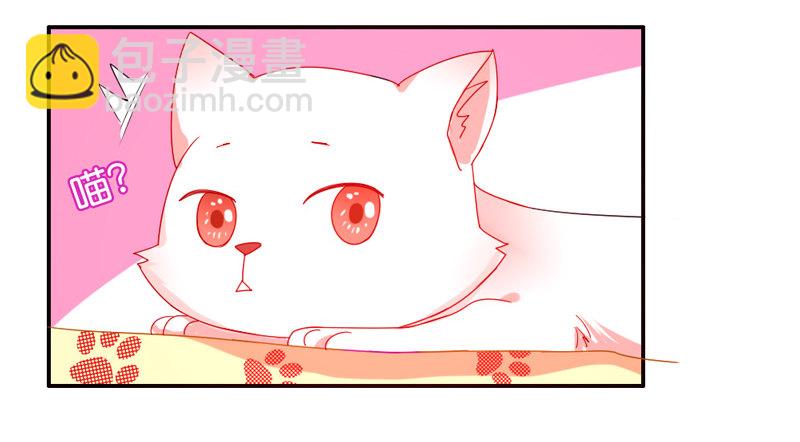 十个橘猫九个胖-第51话