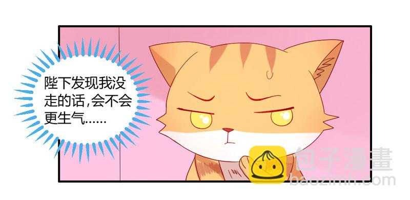 十个橘猫九个胖-第51话