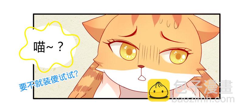 十个橘猫九个胖-第51话