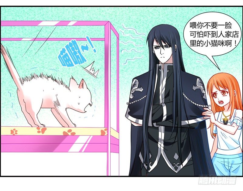 十个橘猫九个胖-第51话
