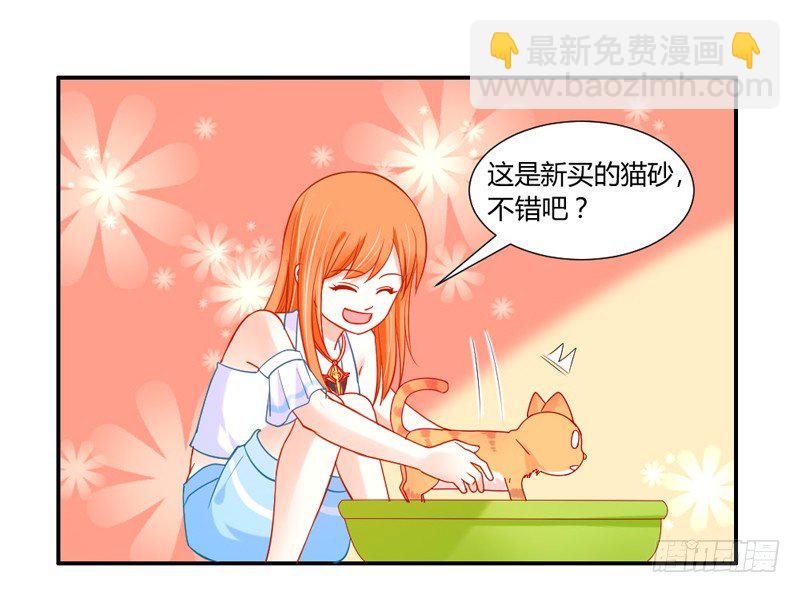 十个橘猫九个胖-第51话