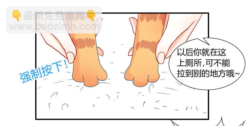 十个橘猫九个胖-第51话