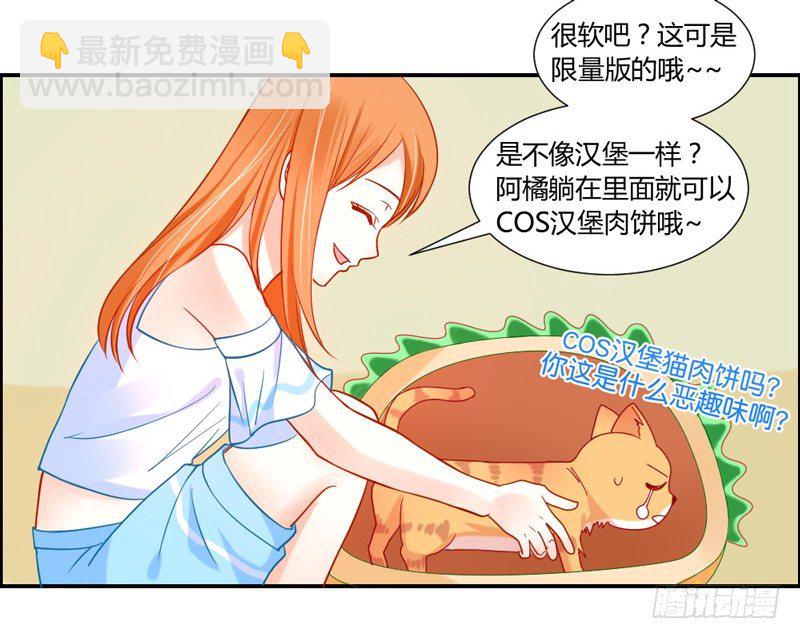 十个橘猫九个胖-第51话